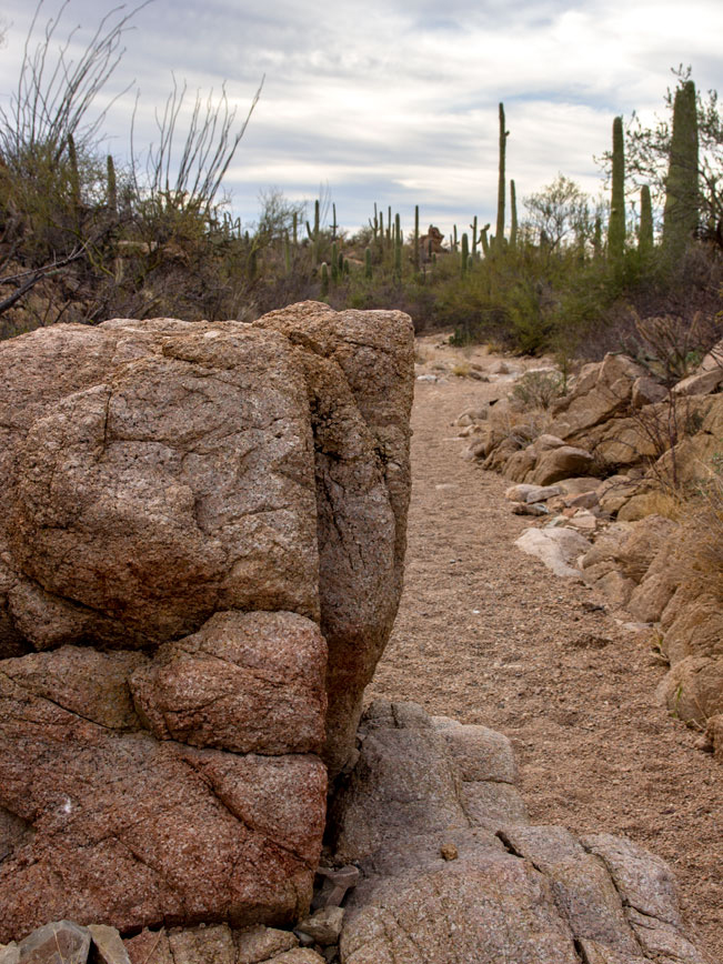 Landscape view, Hikers, Sandy Arroyo, Saguaros, Large Granite Rocks, Bajada Wash Hiking Trail, Saguaro National Park West, Tucson, Arizona, Easy Hiking Trails, Copyright azutopia.com, No use without permission