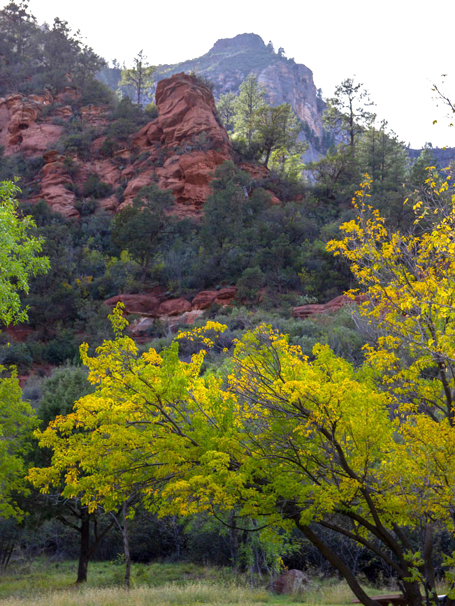North Wilson Mountain Hiking Trail; Wilson Mountain; Sedona; Arizona; Encinoso Picnic Area, Fall Leaves, Difficult Hikes; Foothills; View; Dog Friendly; Copywrite azutopia.com; No use without permission.